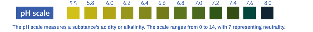 Saliva pH Acidic vs Alkaline